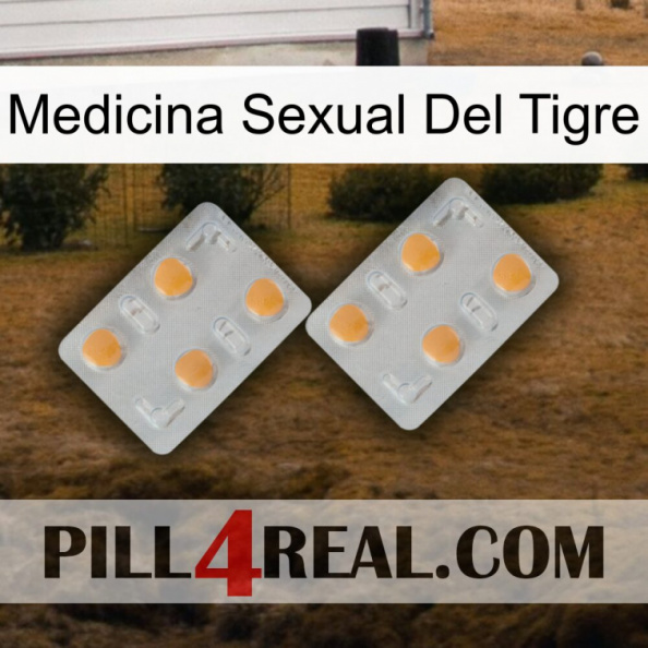 Tiger Sex Medicine 25.jpg